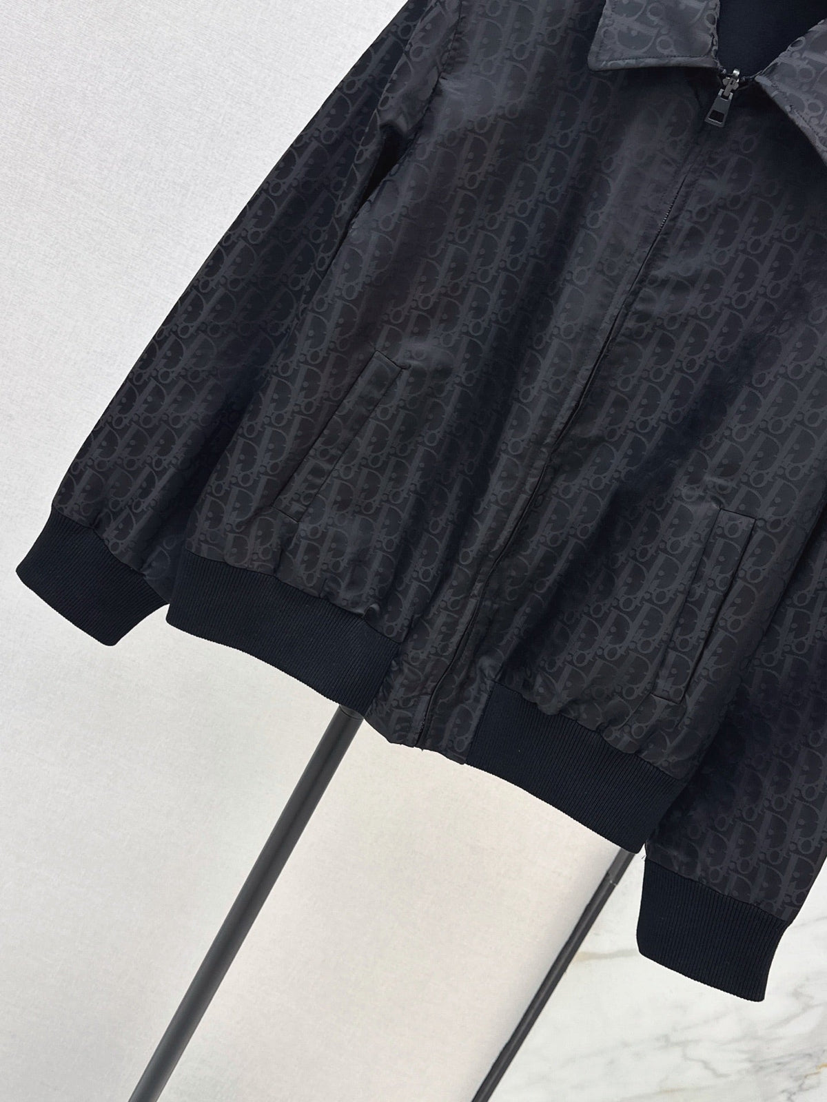 Dior / 26 Early Autumn Latest Jacket