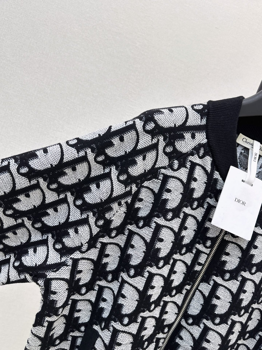 Dior/26Ss Early Autumn Latest Jacket