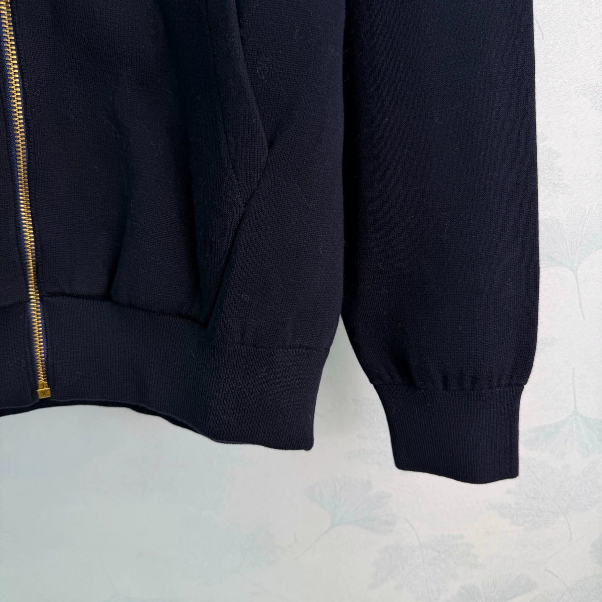 Louis Vuitton/26ss hooded jacket